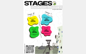 Inscription STAGE escalade, Vacances Toussaint